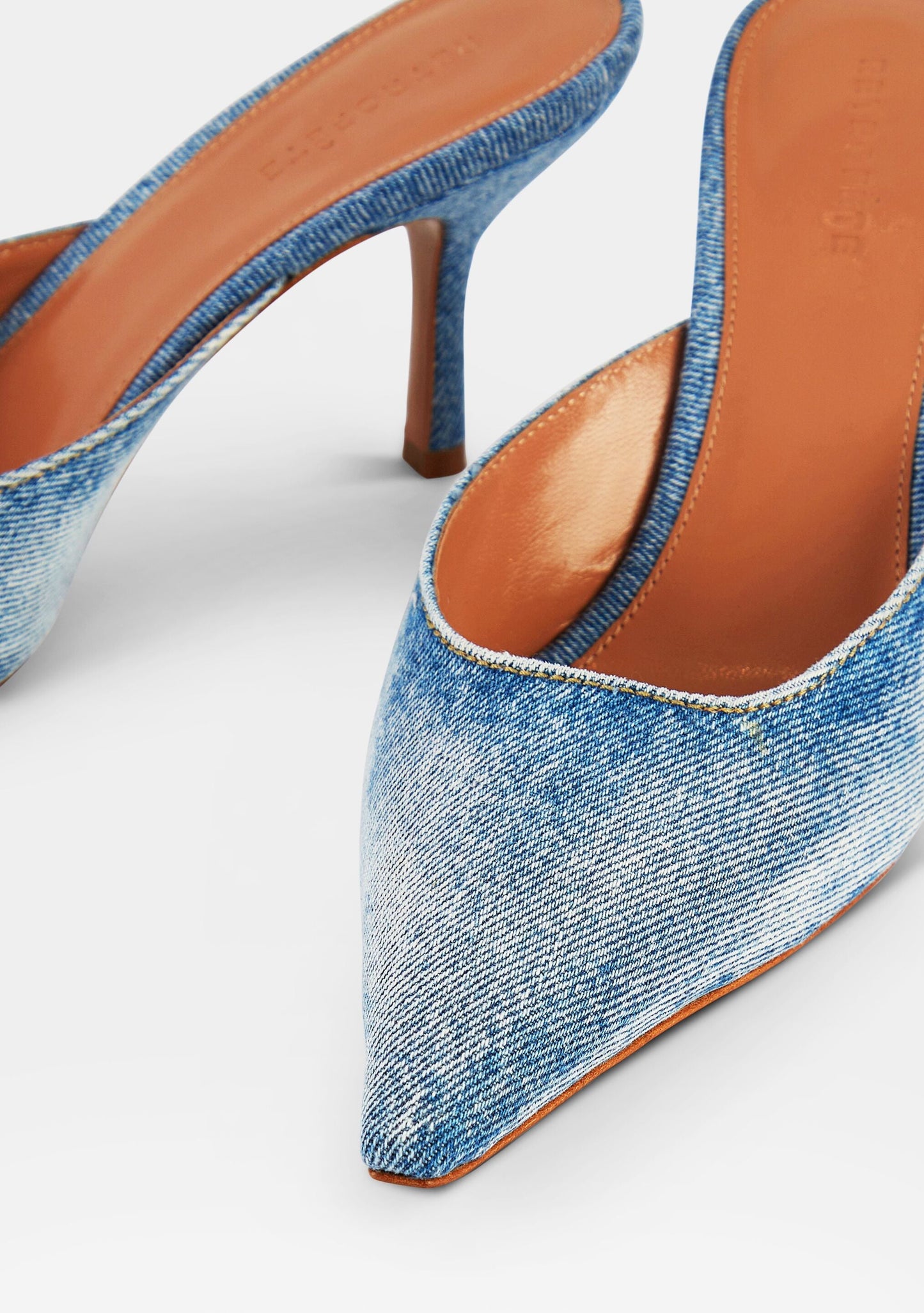  Daphne Mule